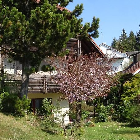 Ferienwohnung Heidi Batzlen Daisendorf Exterior foto